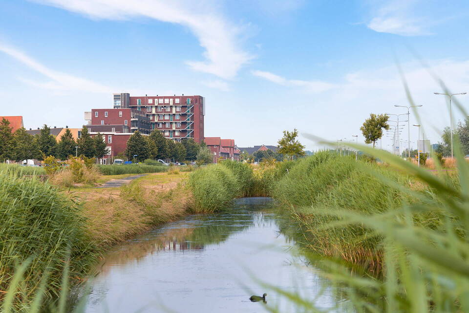 Woningmarkt van Rhoon